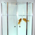 Digitally-printed-glass-s
