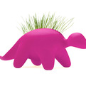 Dinoz-herb-garden-s