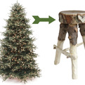 Discarded-christmas-trees-become-stools-s