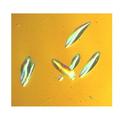 Dislocation-in-silicon-crystal-s