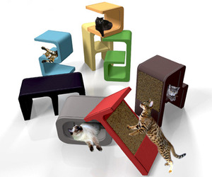 Distinctive-alphabet-catworks-m