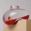 Distorted-aquarium-by-psalt-design-s