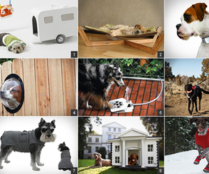 Dog-gear-m