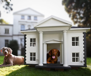 Dog-homes-by-best-friends-homes-m