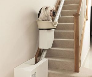 Dog-lift-for-fat-lazy-canine-m