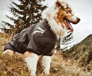 Dog-outdoor-overalls-by-hurtta-m