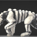 Dogs-gods-by-tim-flach-s