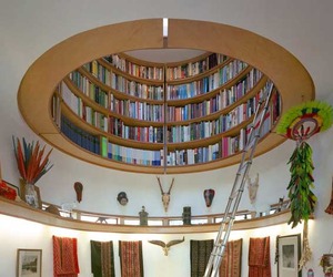 Dome-shaped-bookshelf-by-travis-price-architects-m
