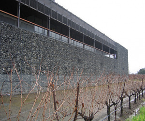 Dominus-winery-by-herzog-and-de-meuron-architects-m