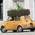 Eco-friendly-mobile-bacsac-garden-containers-s