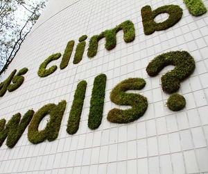 eco graffiti - exterior and interior