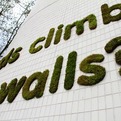 Eco-graffity-exterior-and-interior-s