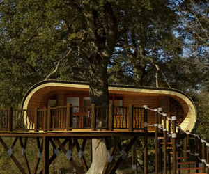 Eco-perch-blue-forests-latest-project-m