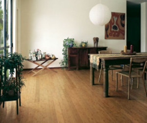 Eco Timber Hardwood and Bamboo Flooring