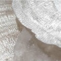 Ecosensetm-design-collection-s