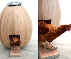 Egg-shaped-nogg-chicken-coop-is-sculpturally-cool-m