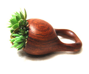 Environmentally-friendly-jewelry-m