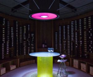 Exotic-wine-house-by-jones-studio-m