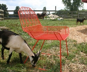 Farmhouse Lounge Chair from Bend Seating