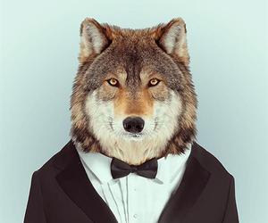 Fashion-zoo-animals-by-yago-partal-m