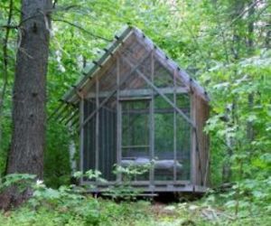 Fern-house-a-sleeping-cabin-990-m