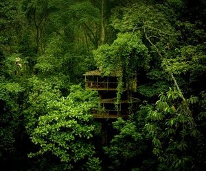 Finca-bellavista-sustainable-forest-treehouse-community-m