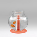 Fish-bowl-by-matteo-cibic-s