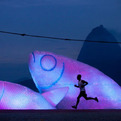 Fish-sculptures-made-from-recycled-plastic-bottles-s