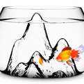 Fishscape-fishbowl-by-gaia-and-gino-s