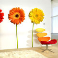 Flamboyant-wallflower-photographic-wall-decals-s