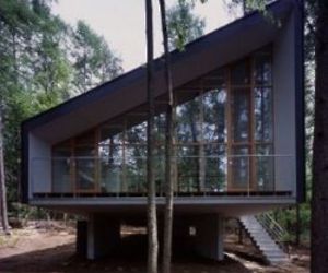 Forest House