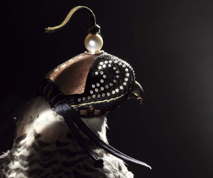 Formal-falconry-diamond-studded-hawks-hoods-m