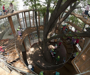 Fun-playground-hoops-around-a-tree-m