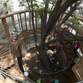 Fun-playground-hoops-around-a-tree-s