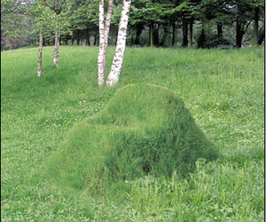 Furniture-that-grows-terra-outdoor-chair-m