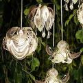 Future-flora-s