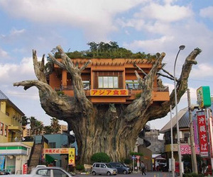 Gajumaru-tree-house-in-japan-m