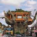 Gajumaru-tree-house-in-japan-s