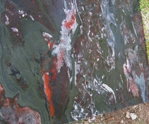 Galaxy-stone-banded-taconite-from-iron-land-stone-m
