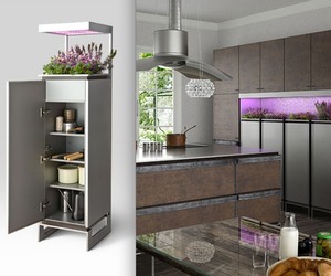 Garden-cabinets-from-toyo-kitchen-m