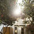 Garden-intervention-by-rui-grazina-s