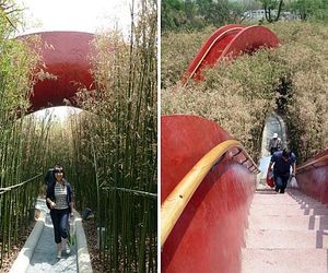 Garden-of-10000-bridges-m