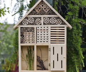 Gardeners-habitat-insect-hotel-m