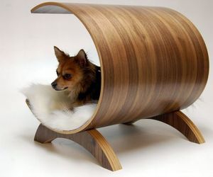 Get-your-pooch-a-soft-and-cosy-pet-bed-cum-recliner-m