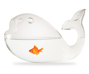 Giona-aquarium-fish-bowl-m