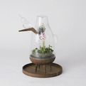 Glass-house-for-individual-plants-s