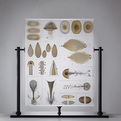 Glass-installations-by-steffen-dam-2-s