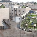 Globe-hedron-s