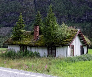 Going-green-with-grass-roof-tops-m