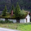 Going-green-with-grass-roof-tops-s